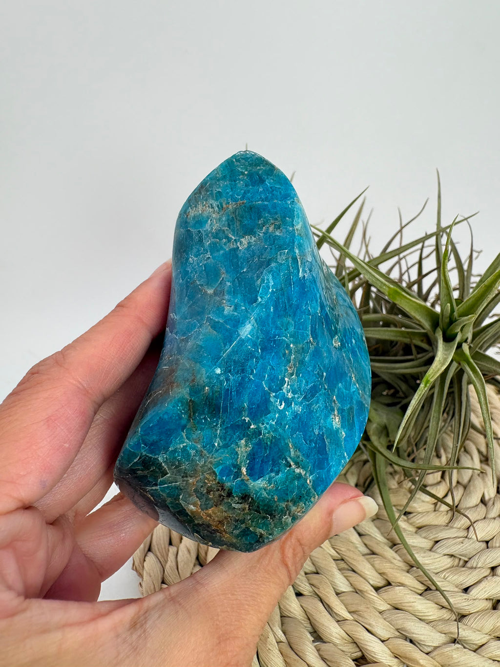 Llama de apatito azul