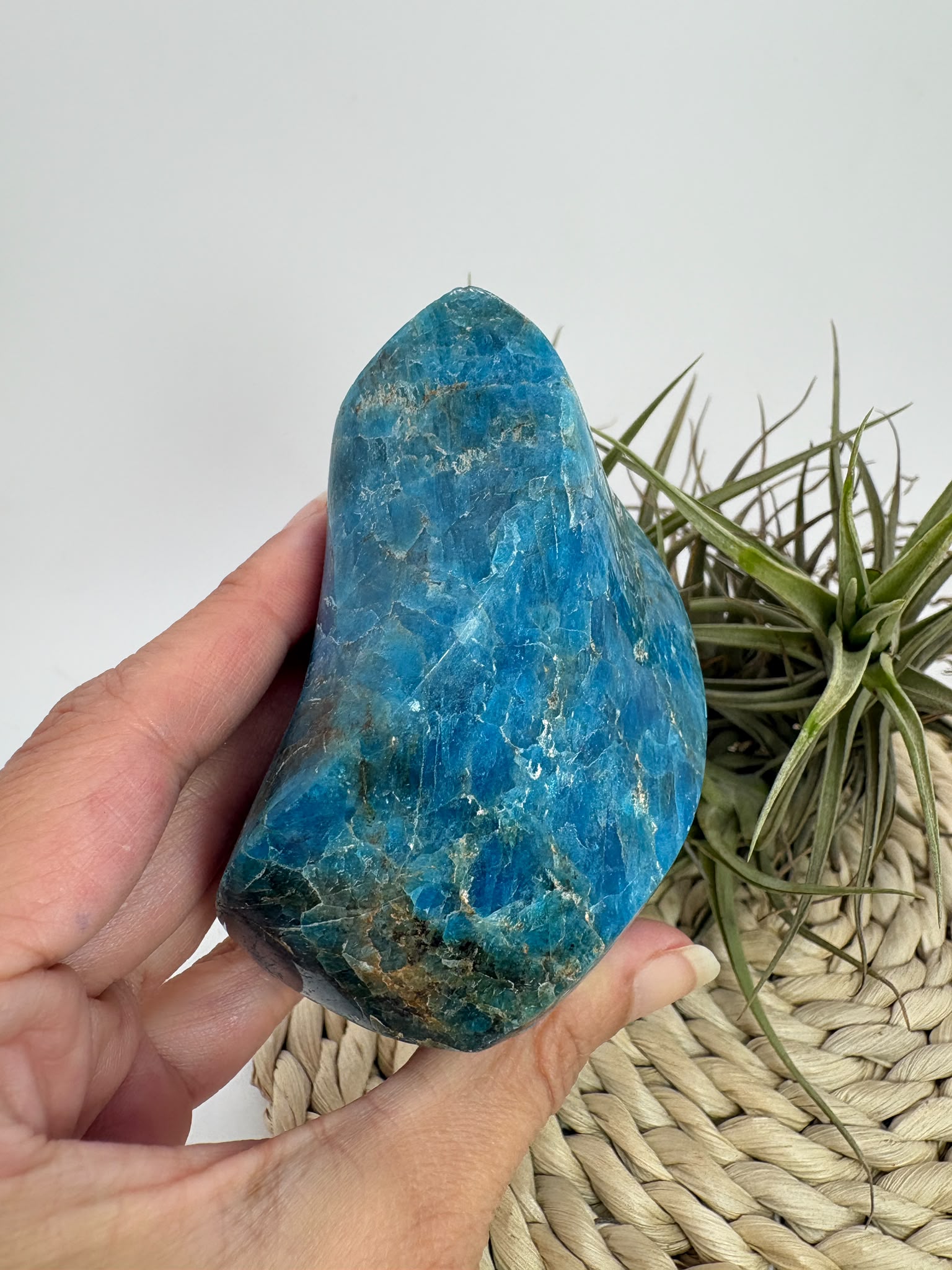 Llama de apatito azul