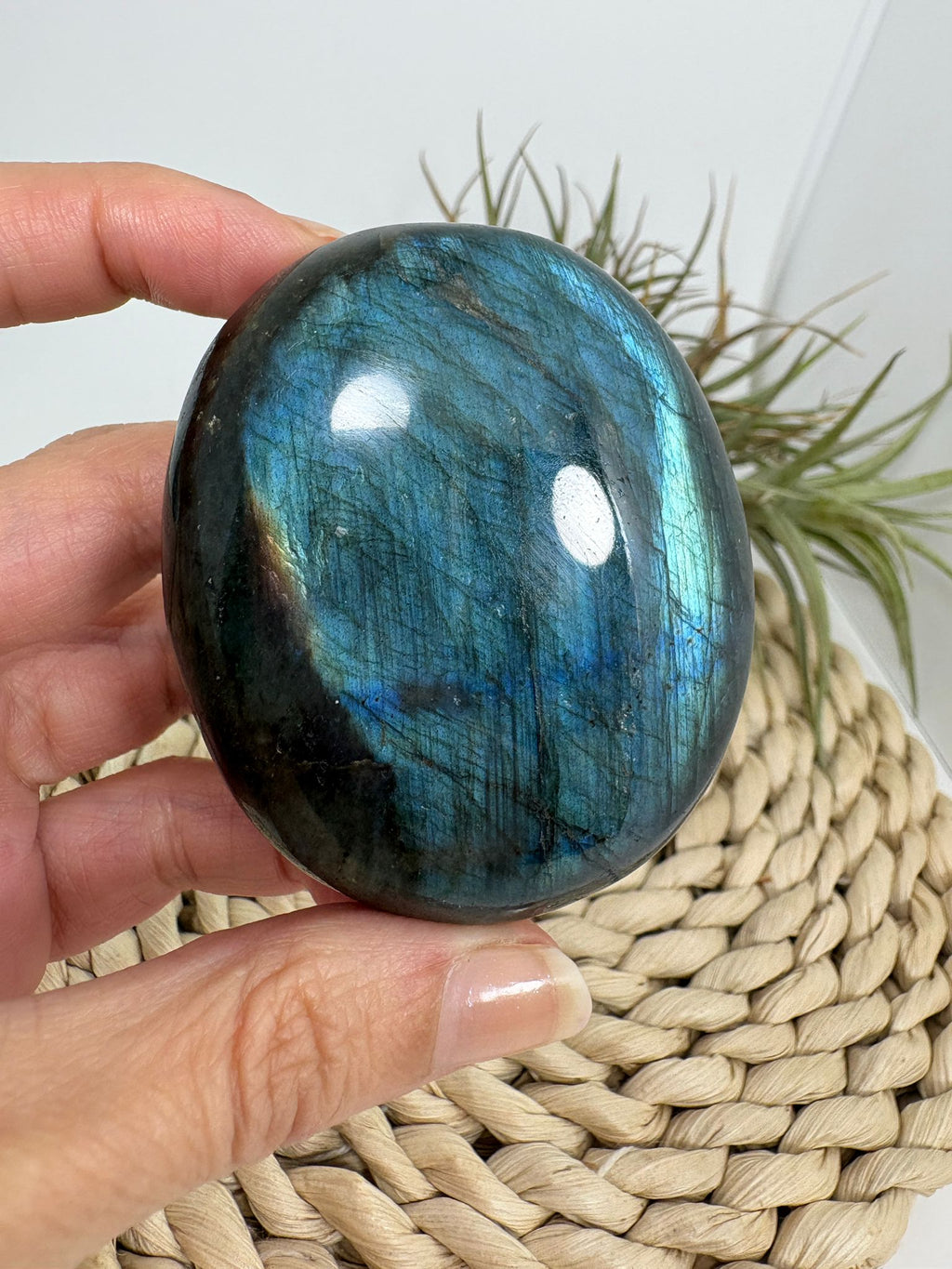 Palmstone de labradorita azul