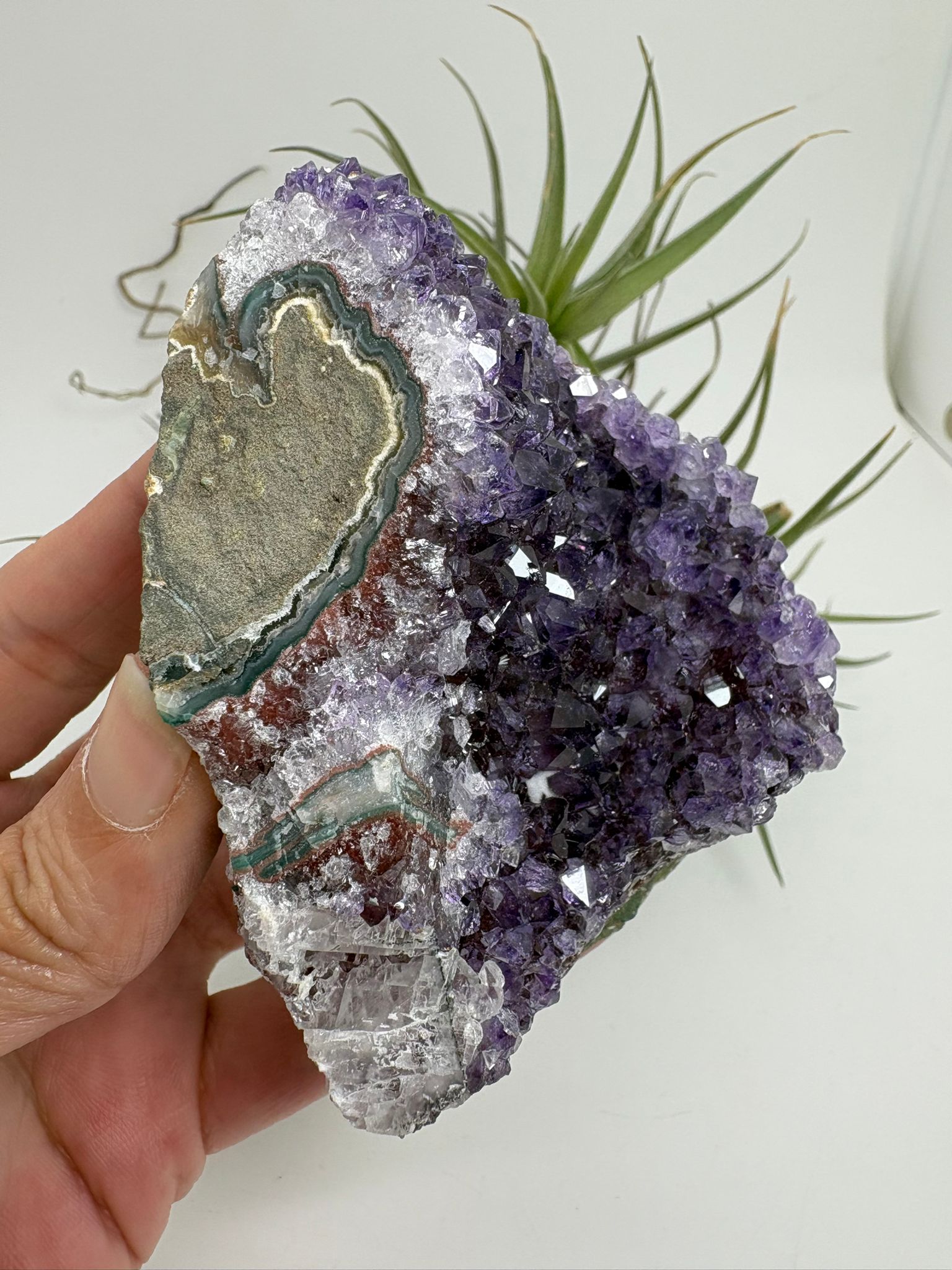 Drusa de amatista natural - cristales violetas brillantes