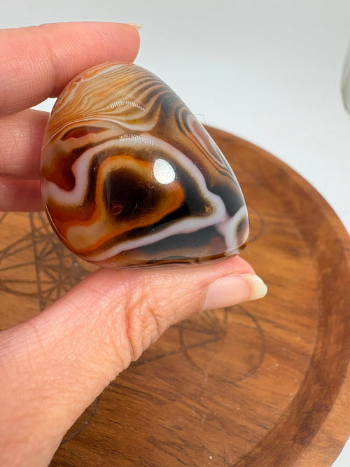 
Ágata Sardónice natural de Madagascar, pulida y de pieza única. Descubre sus elegantes bandas naturales y añade un mineral exclusivo a tu colección.