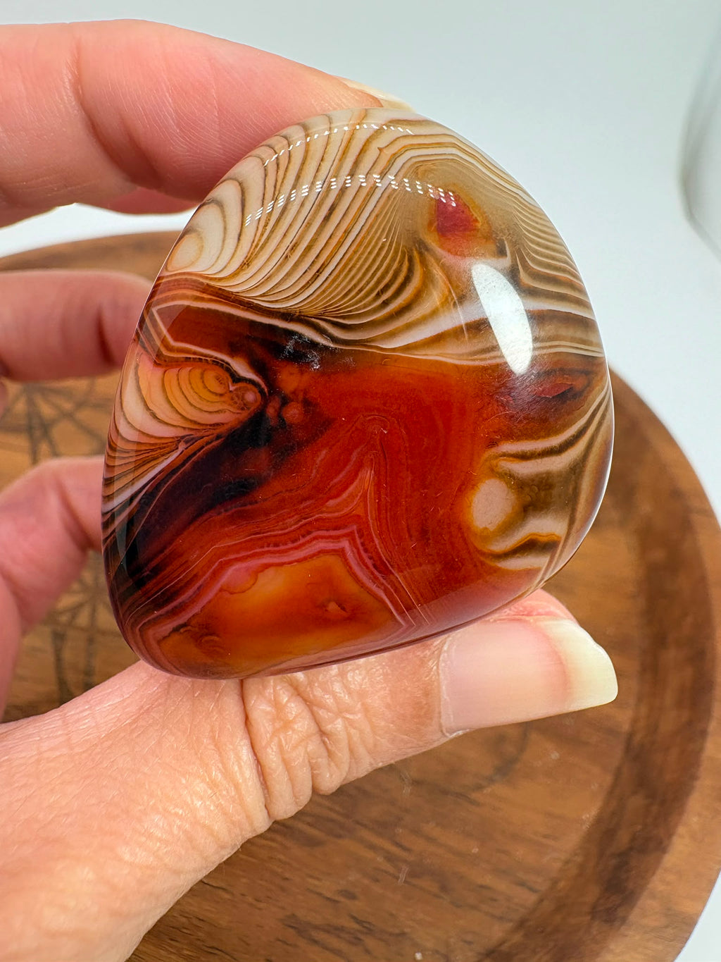 
Ágata Sardónice natural de Madagascar, pulida y de pieza única. Descubre sus elegantes bandas naturales y añade un mineral exclusivo a tu colección.