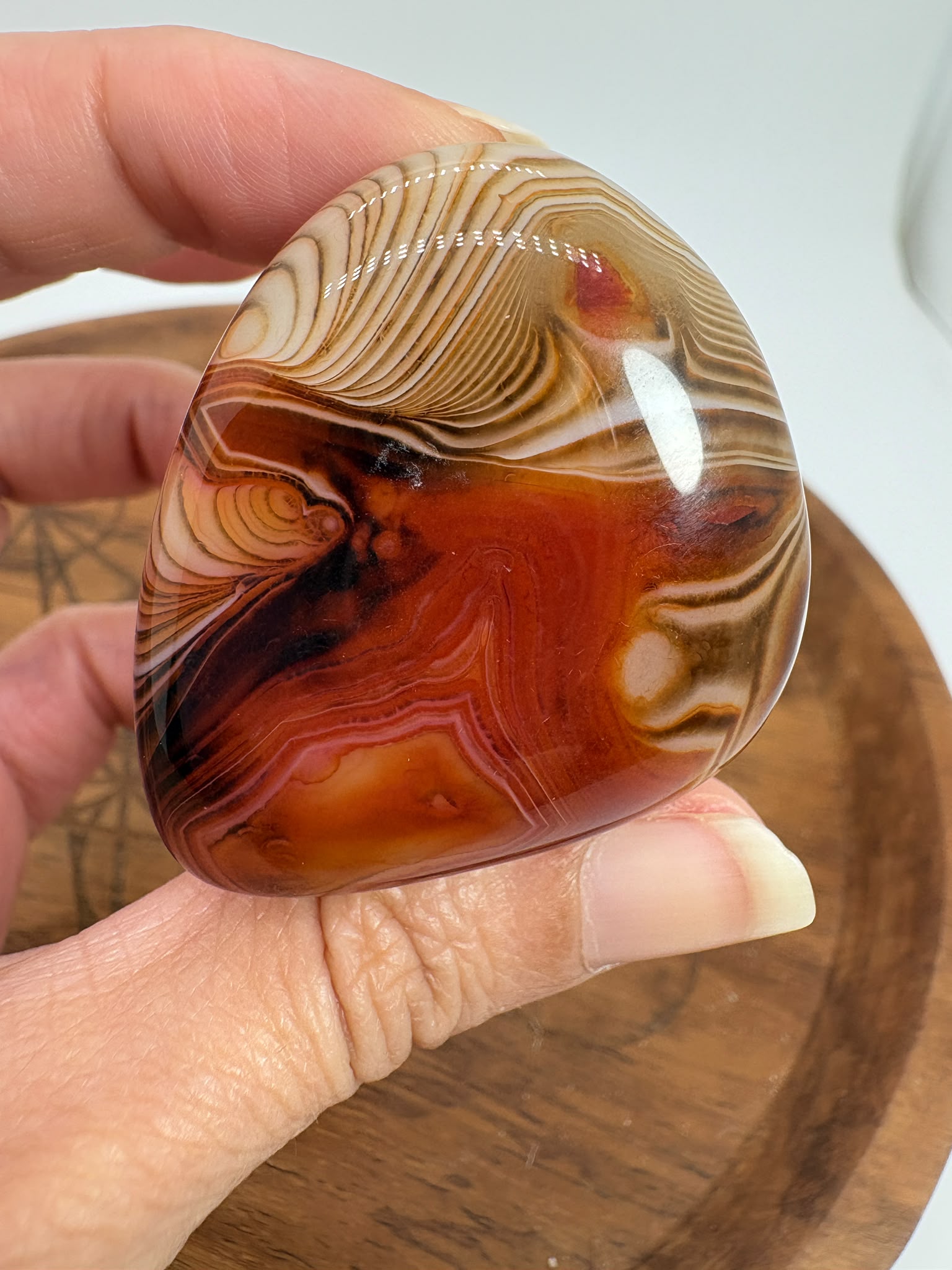 
Ágata Sardónice natural de Madagascar, pulida y de pieza única. Descubre sus elegantes bandas naturales y añade un mineral exclusivo a tu colección.