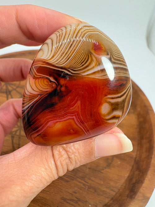 
Ágata Sardónice natural de Madagascar, pulida y de pieza única. Descubre sus elegantes bandas naturales y añade un mineral exclusivo a tu colección.