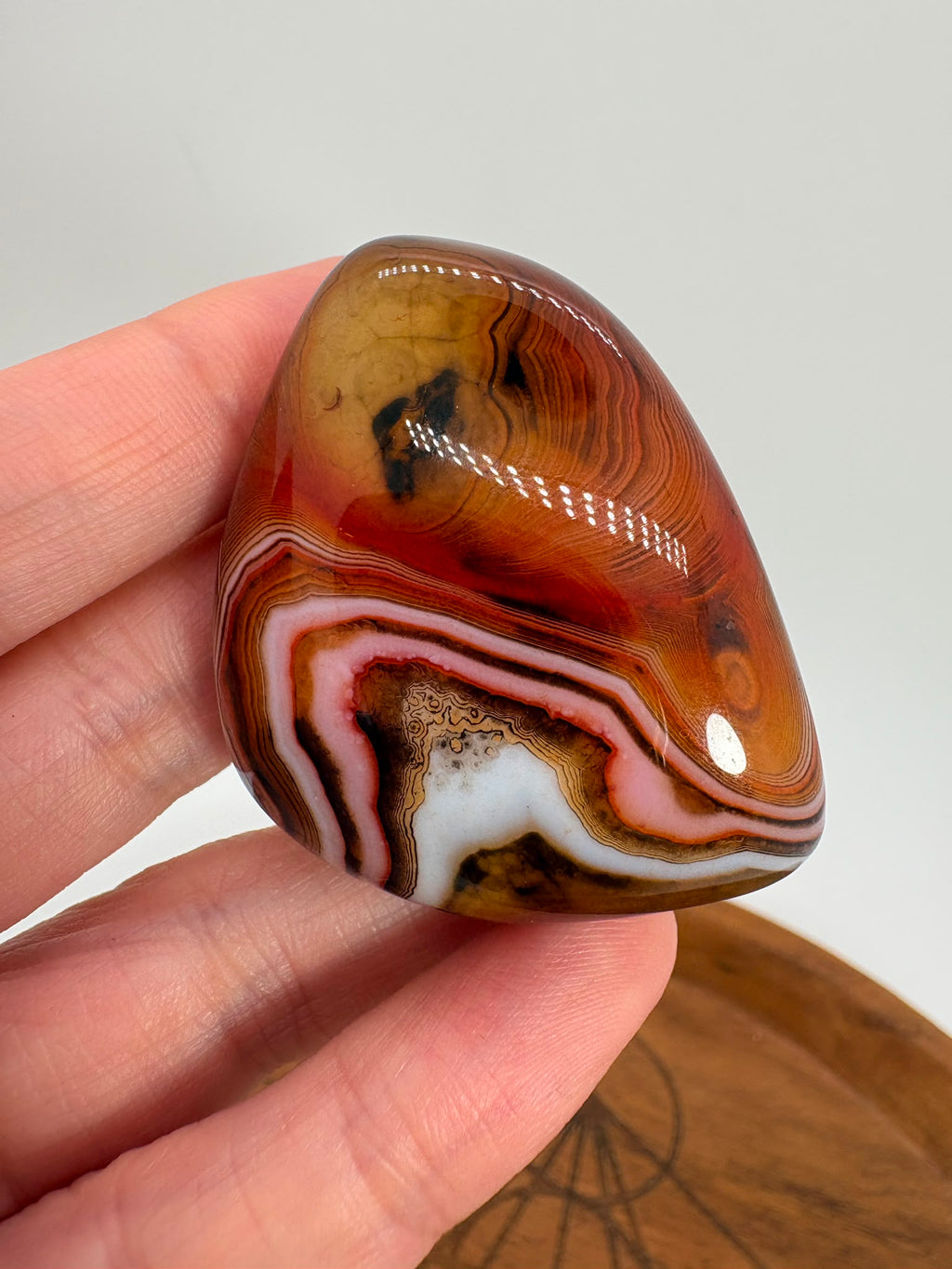 
Ágata Sardónice natural de Madagascar, pulida y de pieza única. Descubre sus elegantes bandas naturales y añade un mineral exclusivo a tu colección.