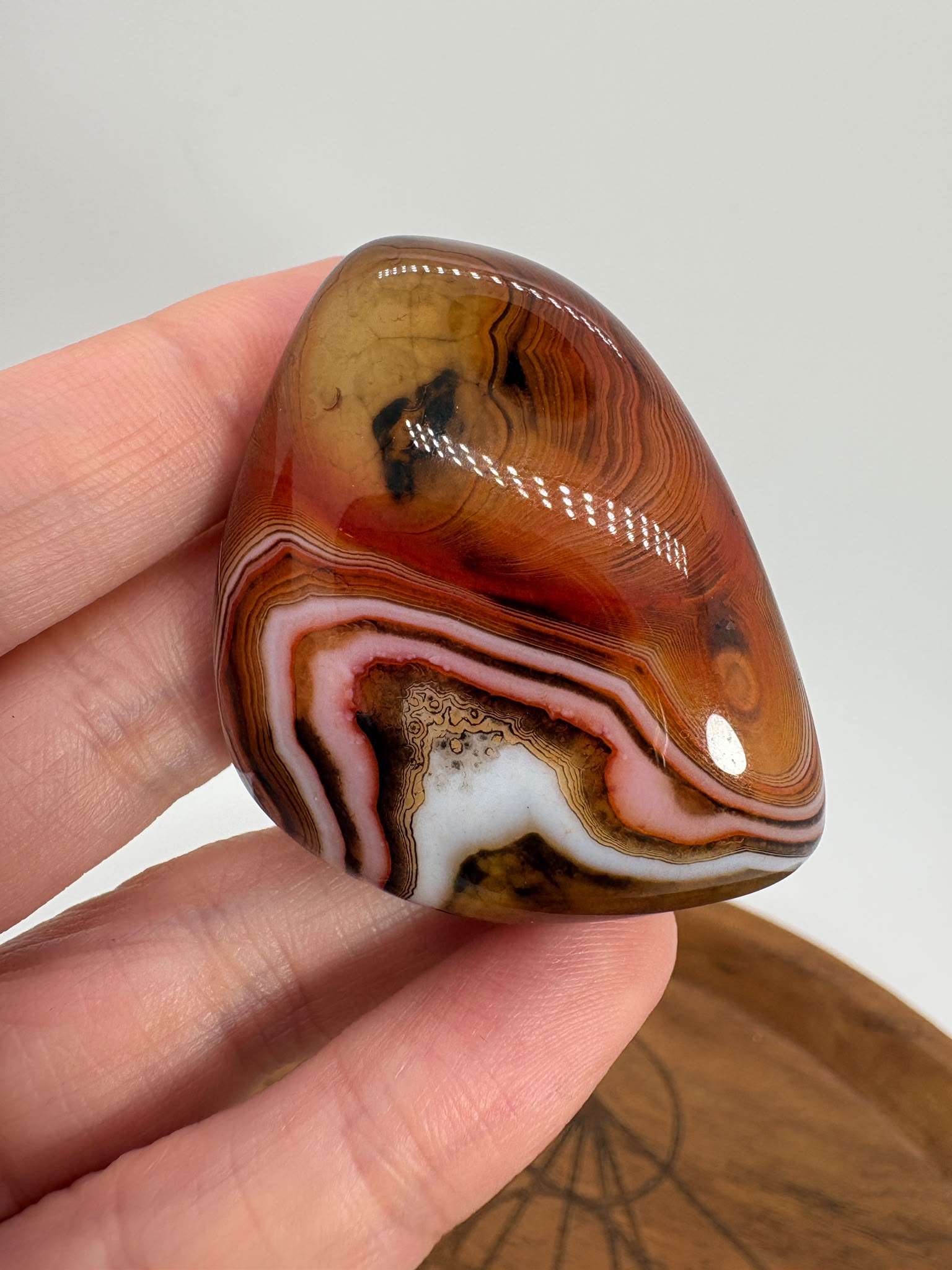 
Ágata Sardónice natural de Madagascar, pulida y de pieza única. Descubre sus elegantes bandas naturales y añade un mineral exclusivo a tu colección.