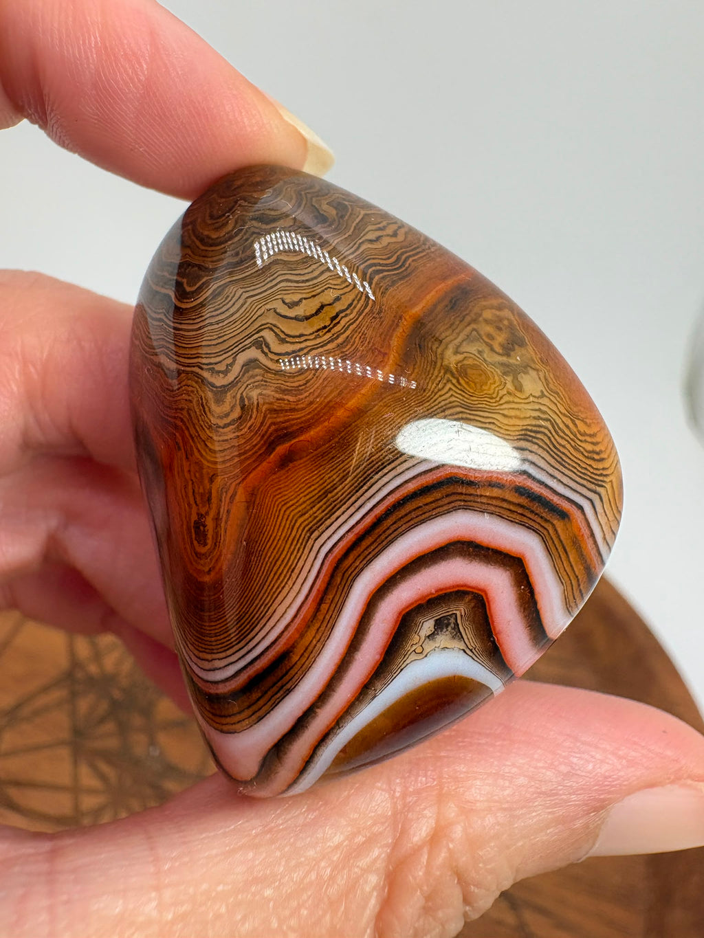 
Ágata Sardónice natural de Madagascar, pulida y de pieza única. Descubre sus elegantes bandas naturales y añade un mineral exclusivo a tu colección.