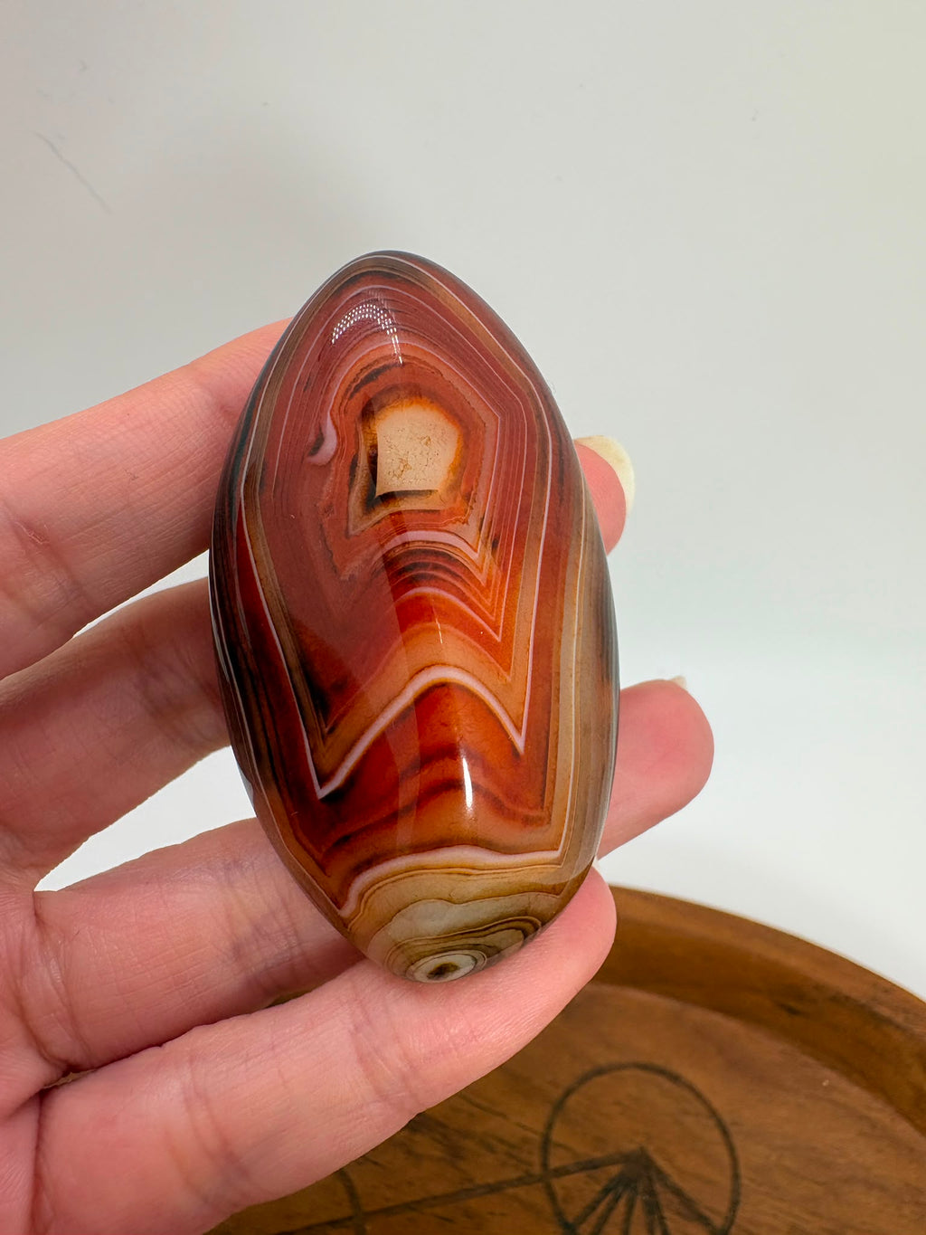 
Ágata Sardónice natural de Madagascar, pulida y de pieza única. Descubre sus elegantes bandas naturales y añade un mineral exclusivo a tu colección.
