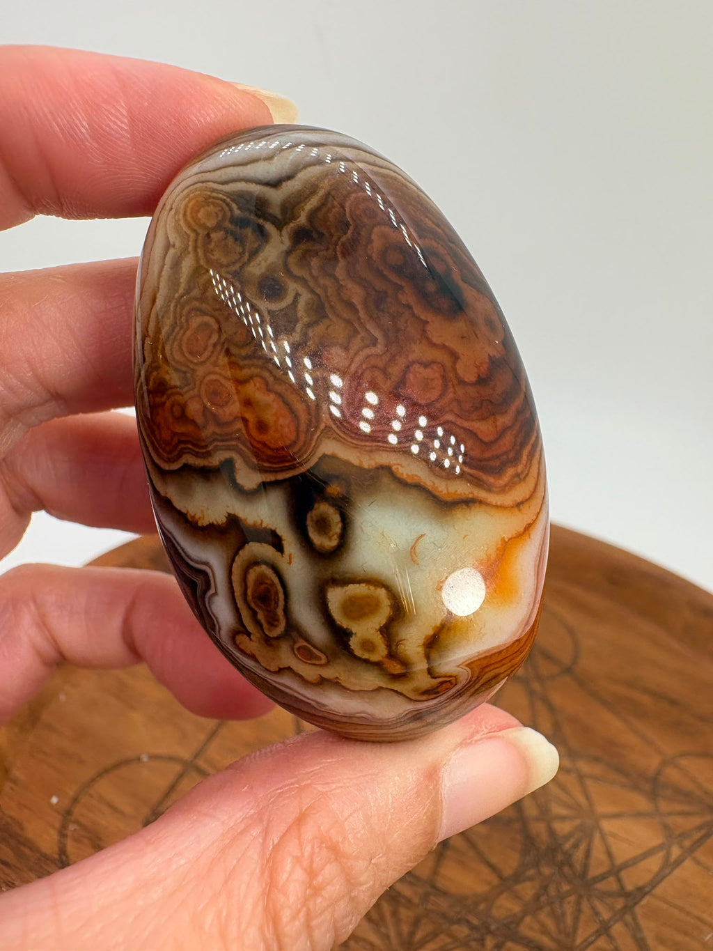 
Ágata Sardónice natural de Madagascar, pulida y de pieza única. Descubre sus elegantes bandas naturales y añade un mineral exclusivo a tu colección.