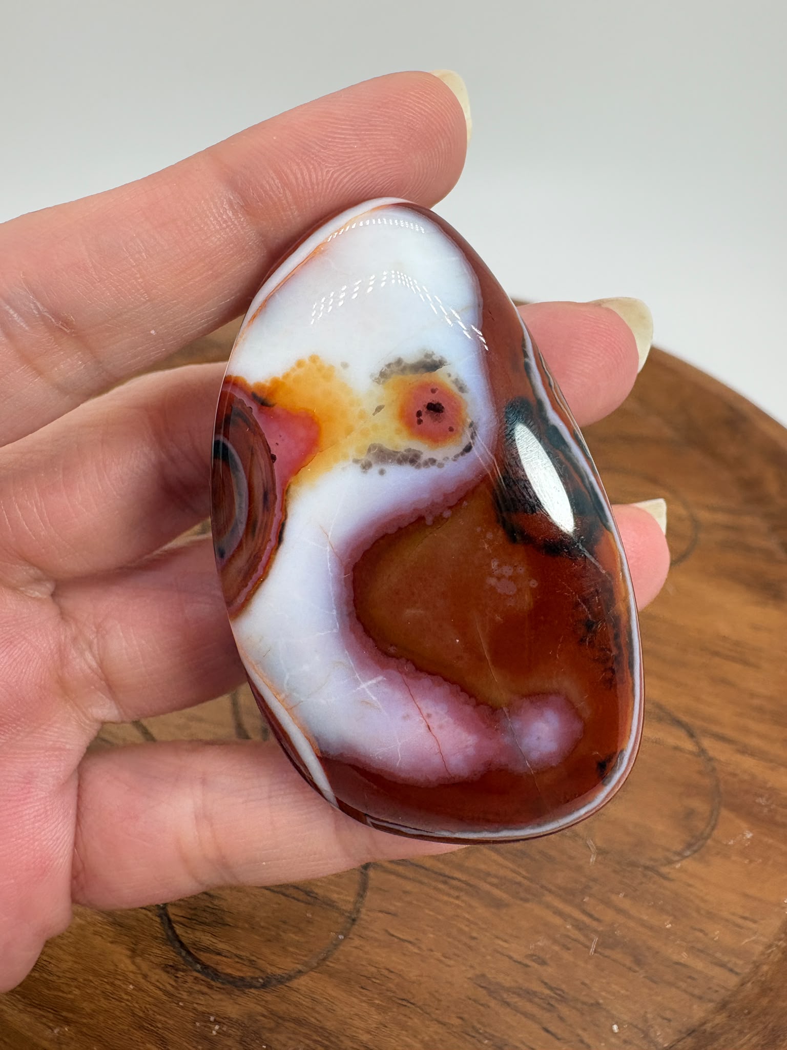 
Ágata Sardónice natural de Madagascar, pulida y de pieza única. Descubre sus elegantes bandas naturales y añade un mineral exclusivo a tu colección.