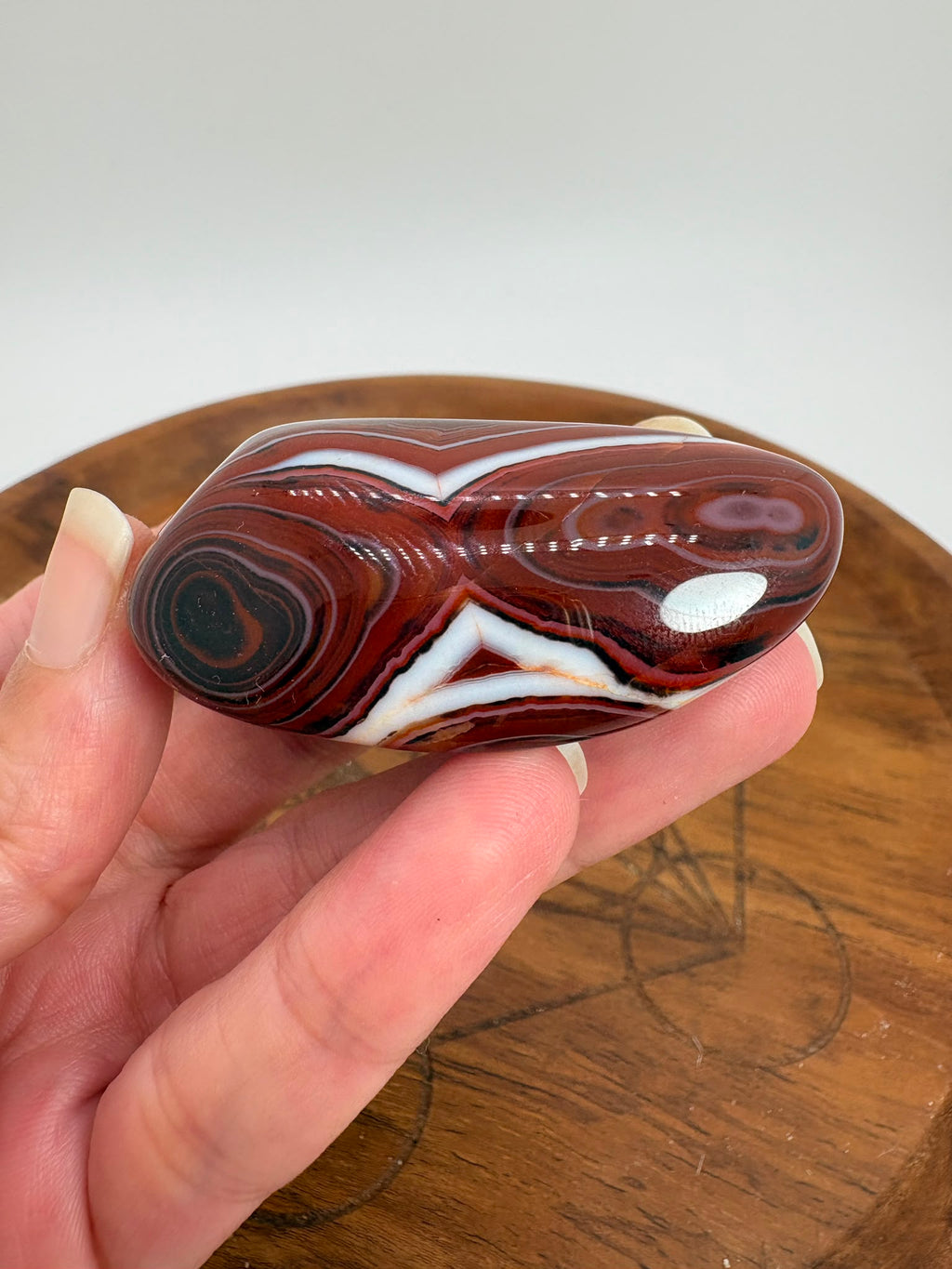 
Ágata Sardónice natural de Madagascar, pulida y de pieza única. Descubre sus elegantes bandas naturales y añade un mineral exclusivo a tu colección.