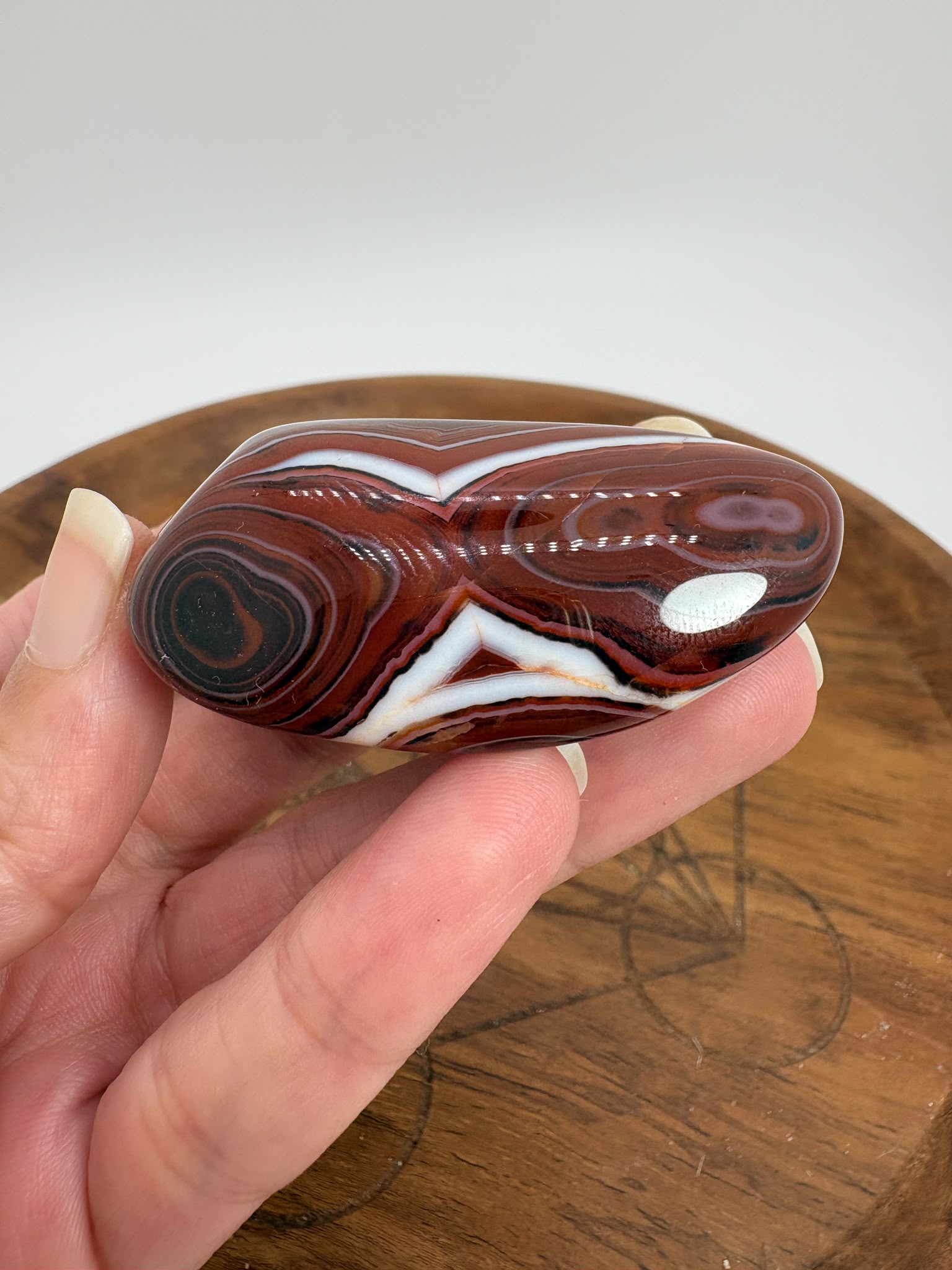 
Ágata Sardónice natural de Madagascar, pulida y de pieza única. Descubre sus elegantes bandas naturales y añade un mineral exclusivo a tu colección.