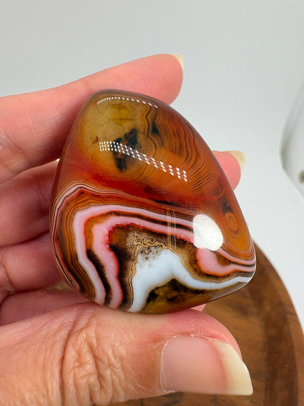 
Ágata Sardónice natural de Madagascar, pulida y de pieza única. Descubre sus elegantes bandas naturales y añade un mineral exclusivo a tu colección.