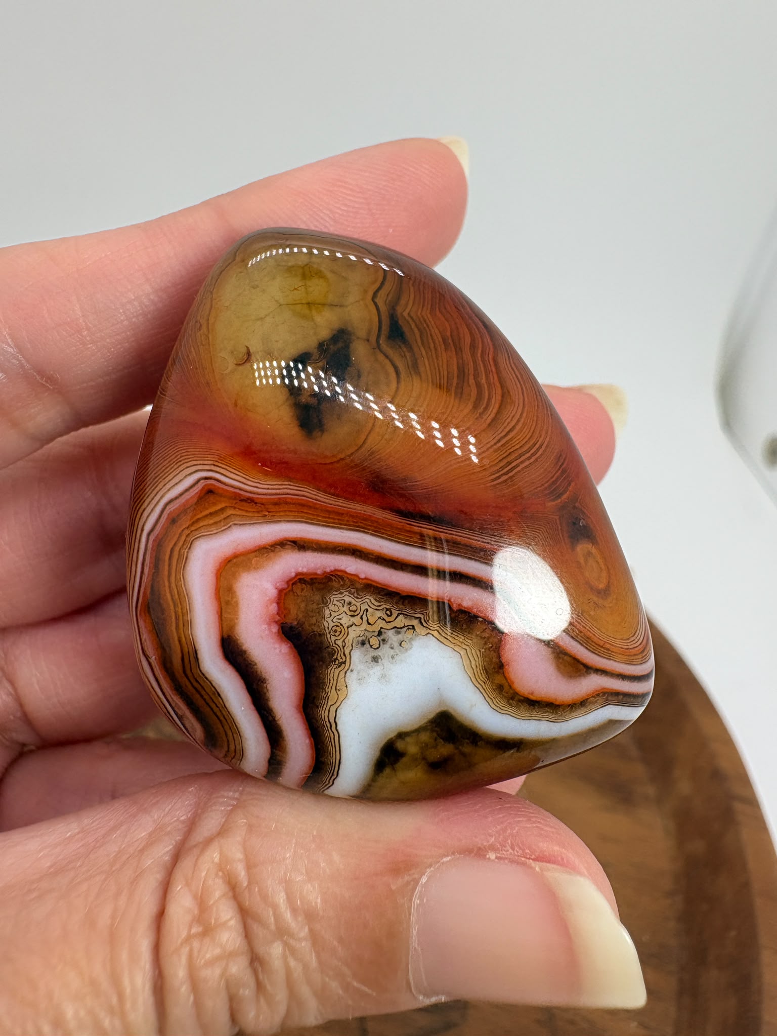 
Ágata Sardónice natural de Madagascar, pulida y de pieza única. Descubre sus elegantes bandas naturales y añade un mineral exclusivo a tu colección.
