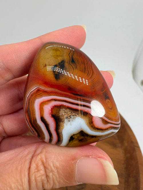 
Ágata Sardónice natural de Madagascar, pulida y de pieza única. Descubre sus elegantes bandas naturales y añade un mineral exclusivo a tu colección.