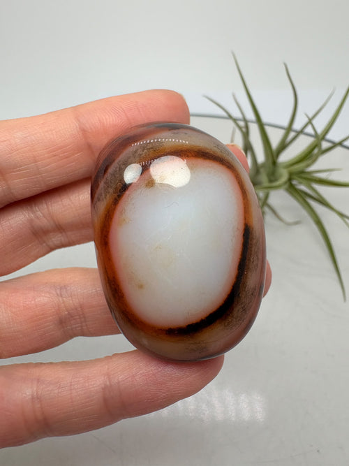 Ágata Sardónice natural de Madagascar, pulida y de pieza única. Descubre sus elegantes bandas naturales y añade un mineral exclusivo a tu colección.