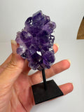 Drusa de amatista natural de intenso color violeta, con cristales brillantes y excelente calidad. Pieza única ideal para decoración, colección o regalo. Compra online con envío seguro.
