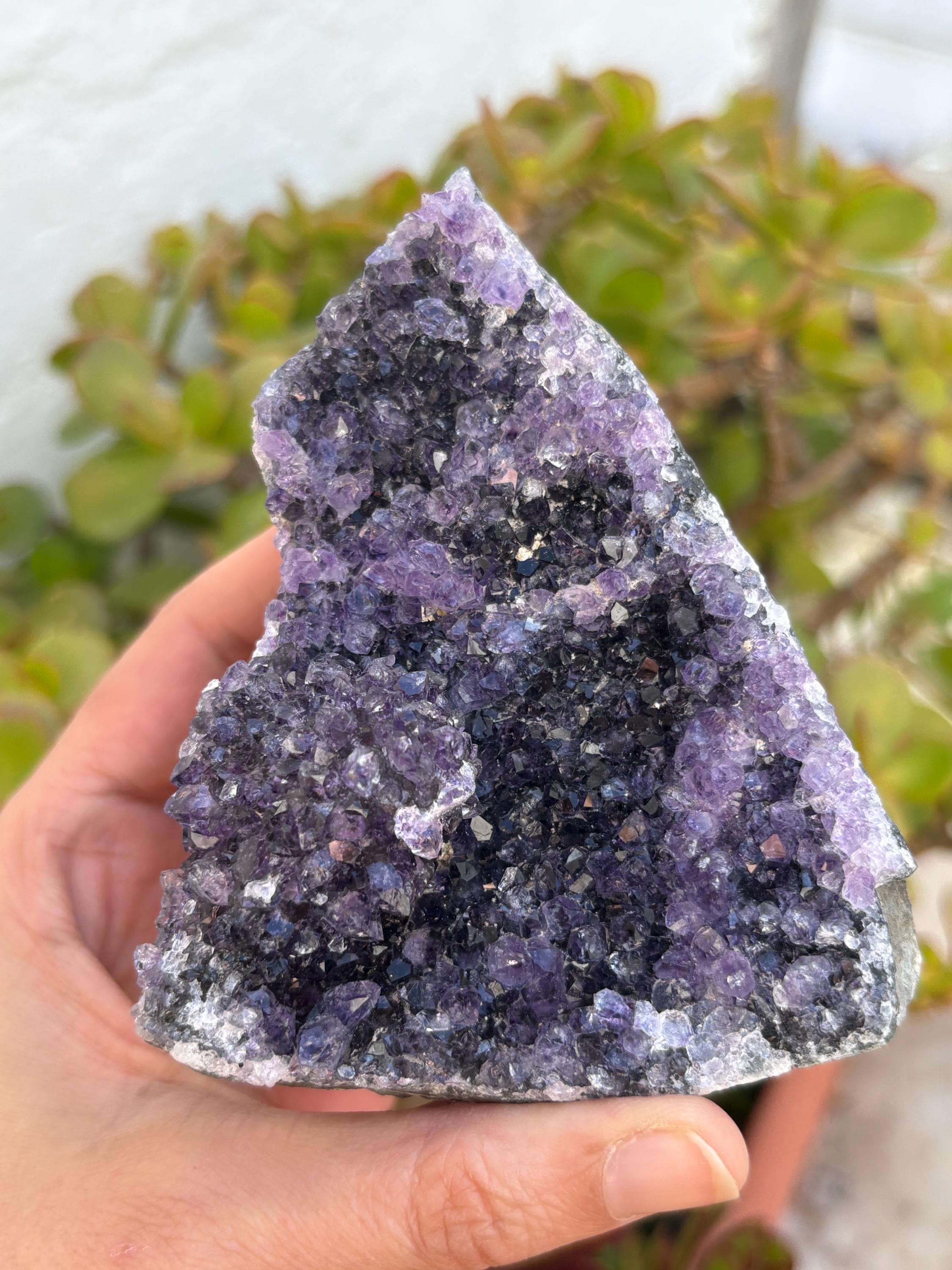 Drusa de Amatista Natural de Alta Calidad – 259 g

número A16

Medidas: 9 x 7,2 cm | Procedencia: Brasil

Conecta con la energía de la paz interior con esta hermosa drusa de amatista natural, de alta calidad, directamente desde Brasil. Su intenso color púrpura y la formación brillante de sus cristales hacen de esta pieza un tesoro único tanto para decoración como para trabajo energético.

✨ Propiedades espirituales y energéticas:
	•	La amatista es conocida por ser una piedra de protección, transmutación y e
