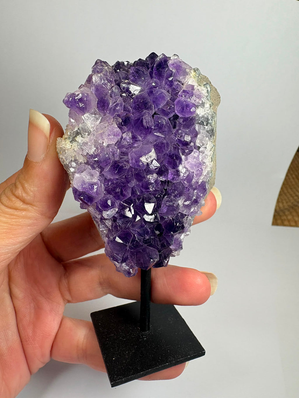 Drusa de amatista natural de intenso color violeta, con cristales brillantes y excelente calidad. Pieza única ideal para decoración, colección o regalo. Compra online con envío seguro.