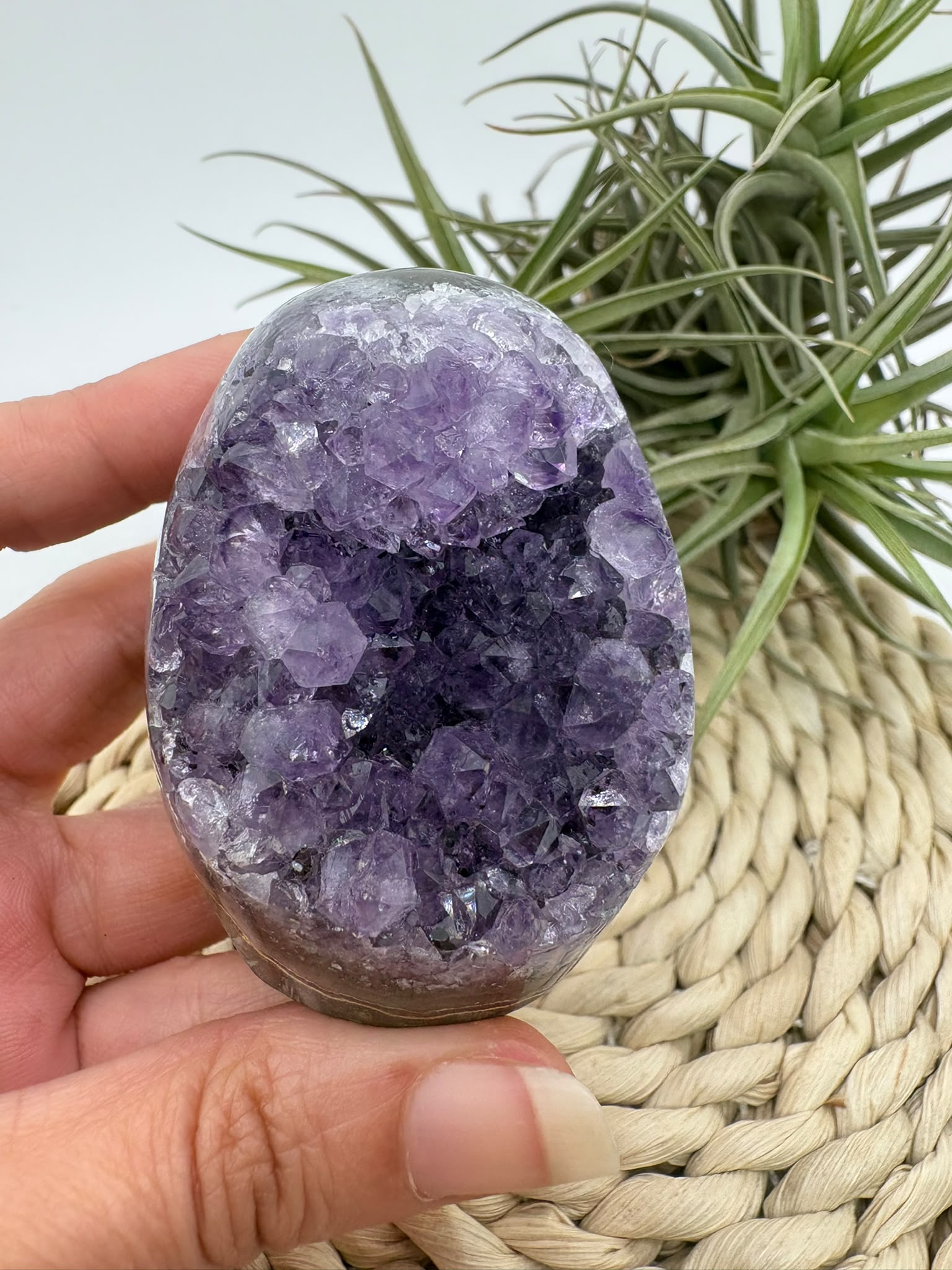 Drusa de amatista natural, mineral de color violeta muy apreciado en cristaloterapia por asociarse con la calma, la relajación y el equilibrio emocional.