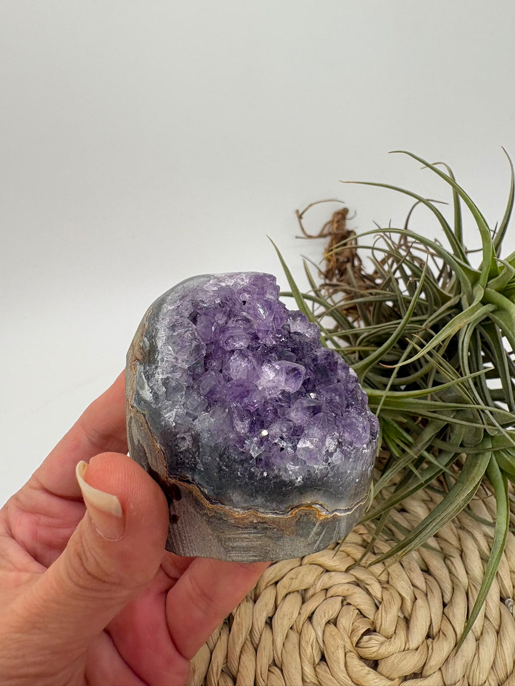 Drusa de amatista natural, mineral de color violeta muy apreciado en cristaloterapia por asociarse con la calma, la relajación y el equilibrio emocional.