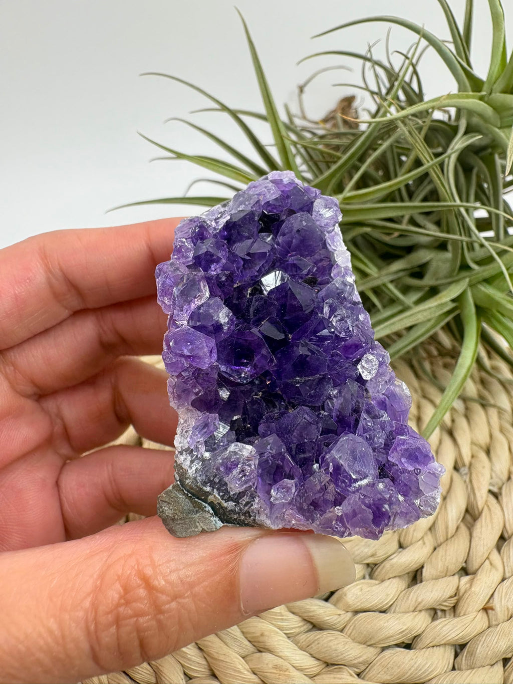 Drusa de amatista natural, mineral de color violeta muy apreciado en cristaloterapia por asociarse con la calma, la relajación y el equilibrio emocional.