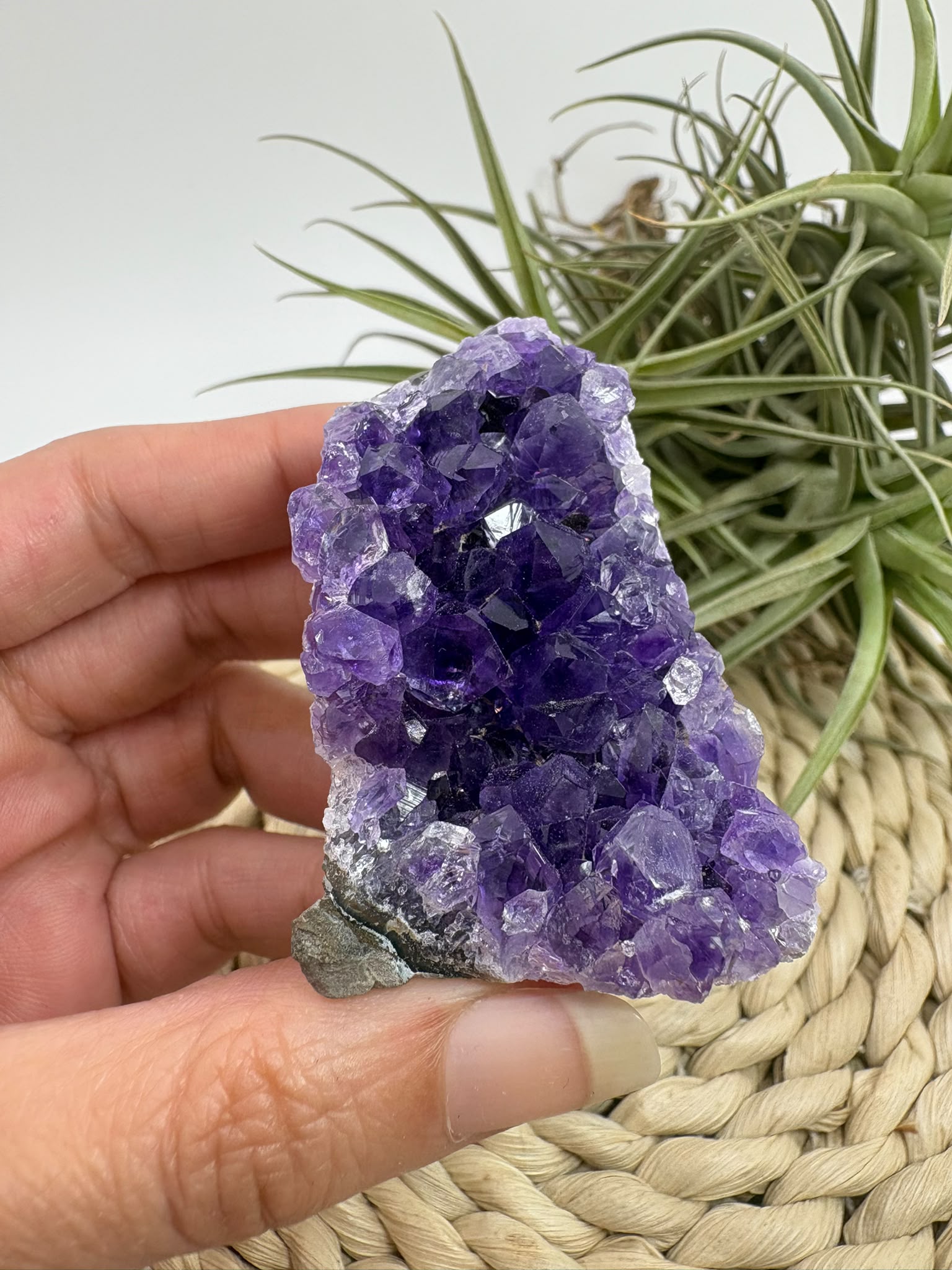 Drusa de amatista natural, mineral de color violeta muy apreciado en cristaloterapia por asociarse con la calma, la relajación y el equilibrio emocional.