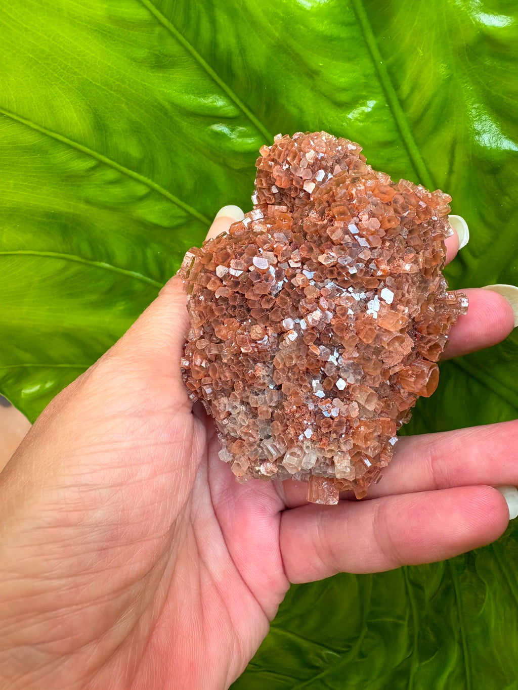 Aragonito natural de Marruecos con cristales marrones y anaranjados. Pieza única de 7 × 5,3 × 4 cm y 180 gramos.