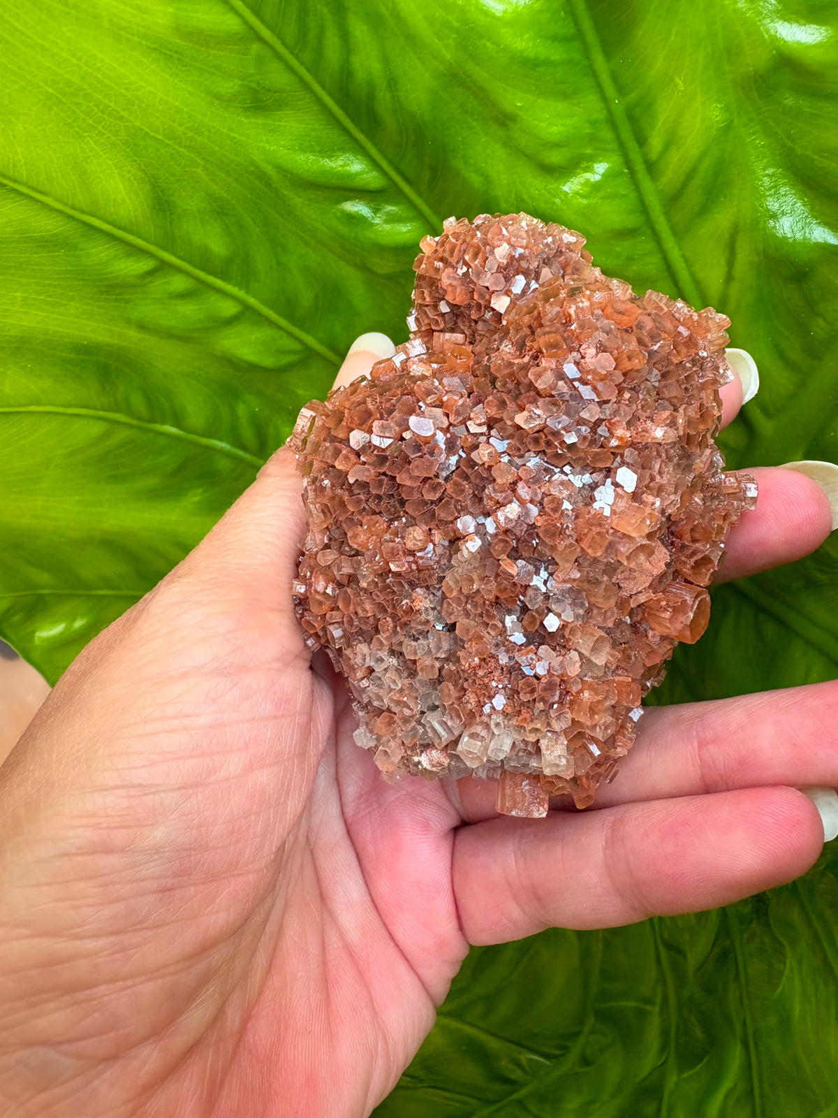 Aragonito natural de Marruecos con cristales marrones y anaranjados. Pieza única de 7 × 5,3 × 4 cm y 180 gramos.