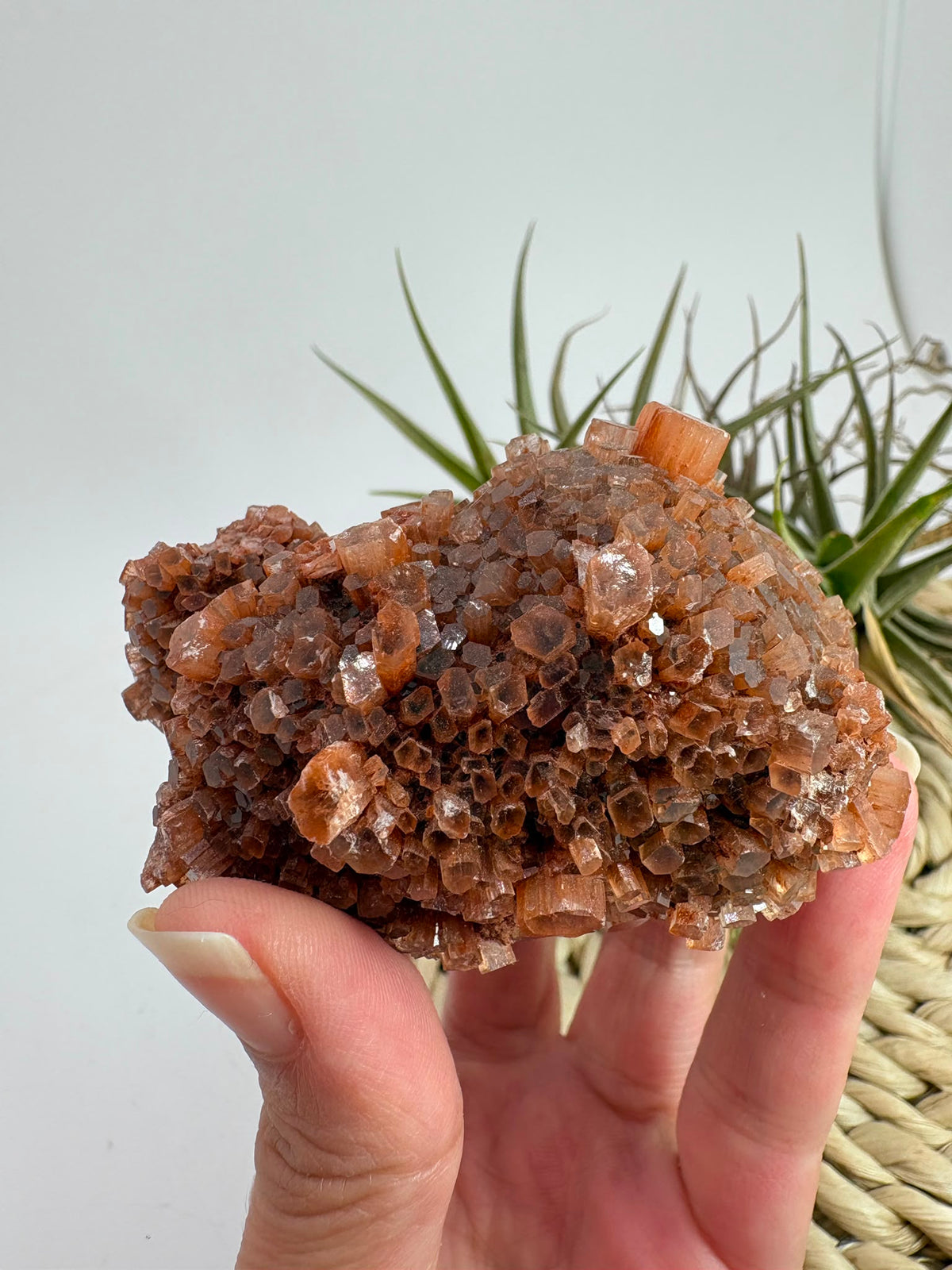 Aragonito natural de Marruecos con cristales marrones y anaranjados. Pieza única de 7 × 5,3 × 4 cm y 180 gramos.