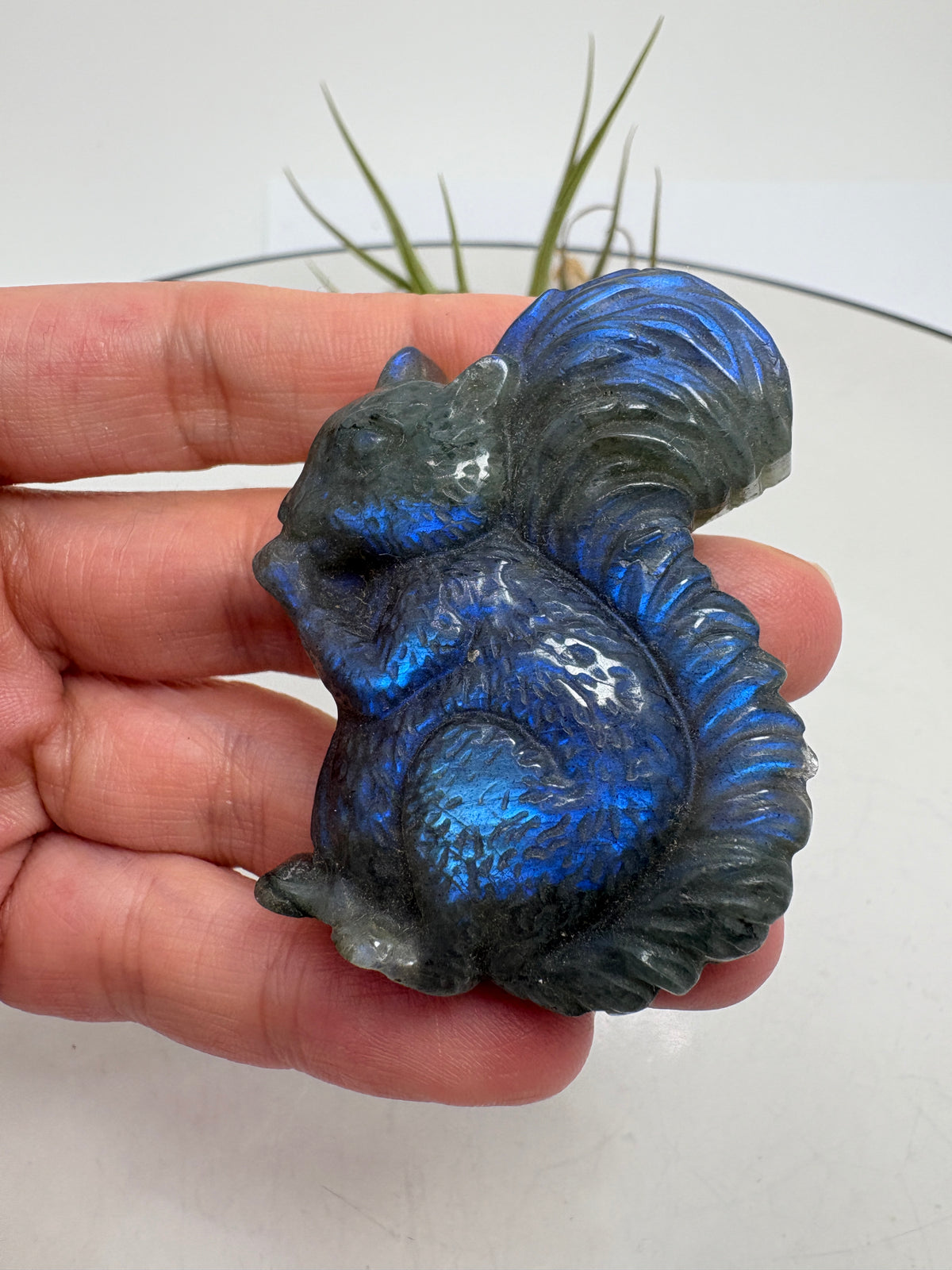 Bonita ardilla de labradorita con reflejos azules que destacan en el cuerpo y en su gran cola. Al moverla bajo la luz, el brillo cambia de intensidad y deja ver distintos matices sobre el fondo gris oscuro de la piedra.

La talla muestra los detalles del pelaje, las pequeñas patas y la cola curvada. Una figura especial para quienes disfrutan de los animales y los minerales, ideal para coleccionar o regalar.