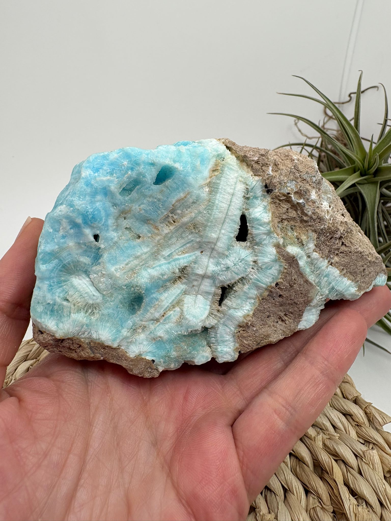 Aragonito azul de Pakistan, mineral de colección