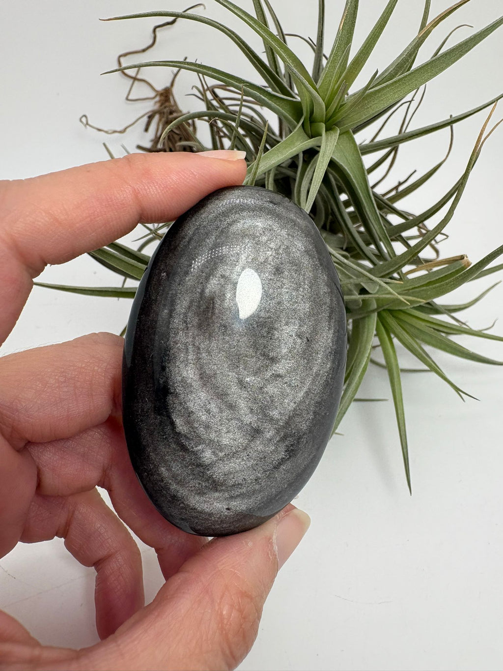 Palmstone obsidiana plateada