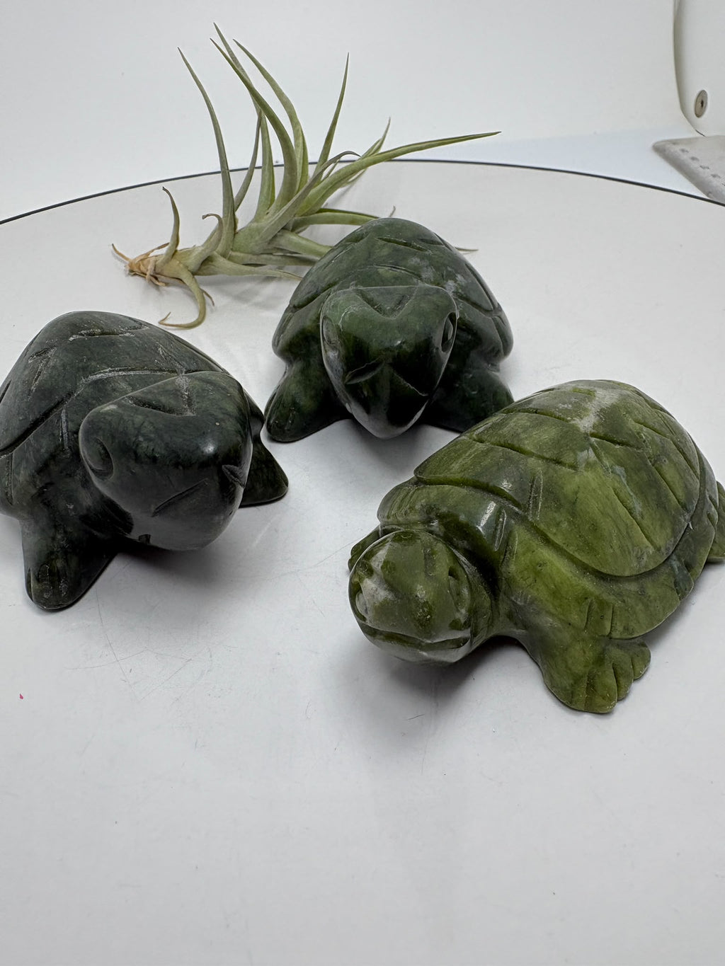 Tortugas talladas en jade nefrita