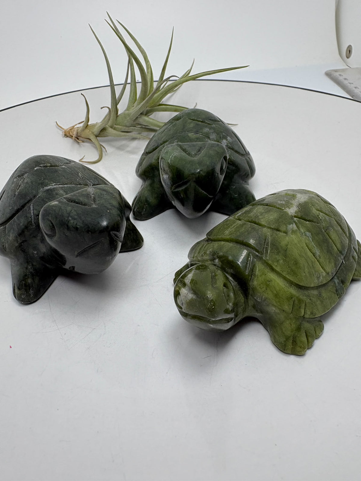 Tortugas talladas en jade nefrita