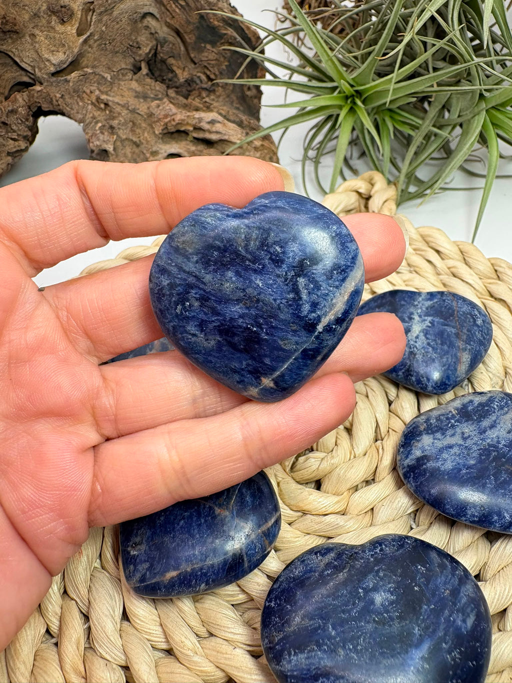 Corazón de sodalita planos y pulidos