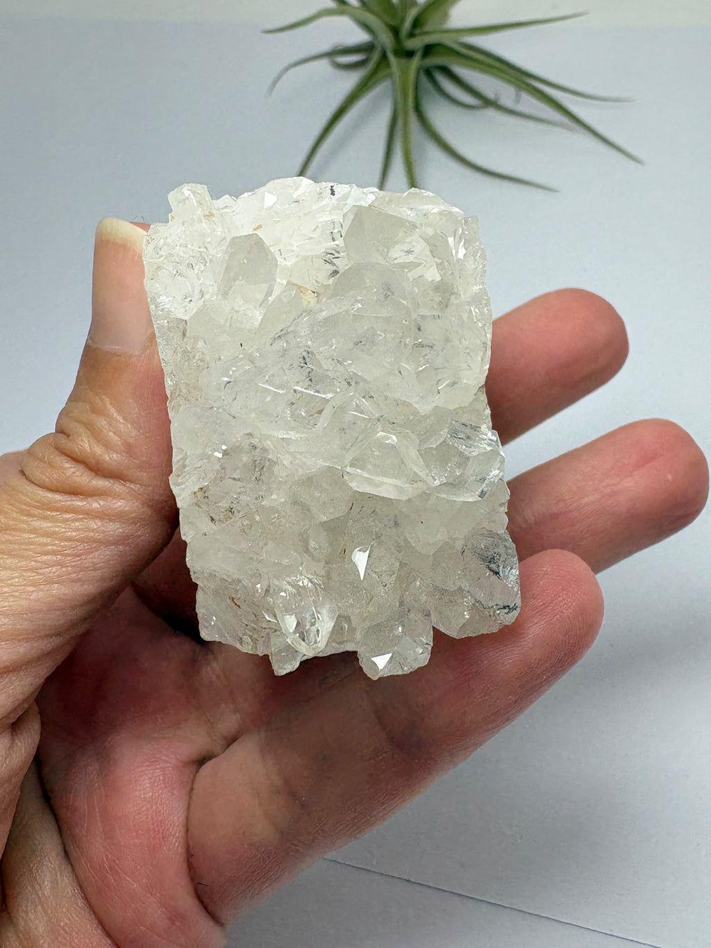 Erizo de cuarzo con cristales naturales - foto 12
