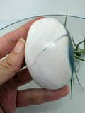 Palmstone de ágata orca