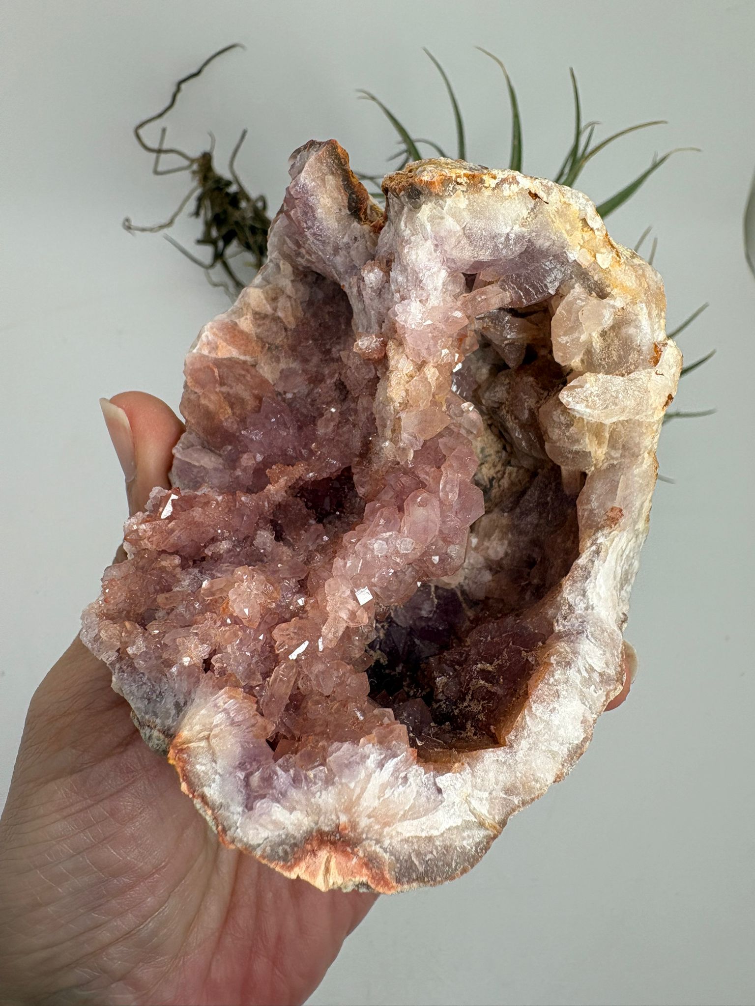 Geoda de amatista rosa de Argentina