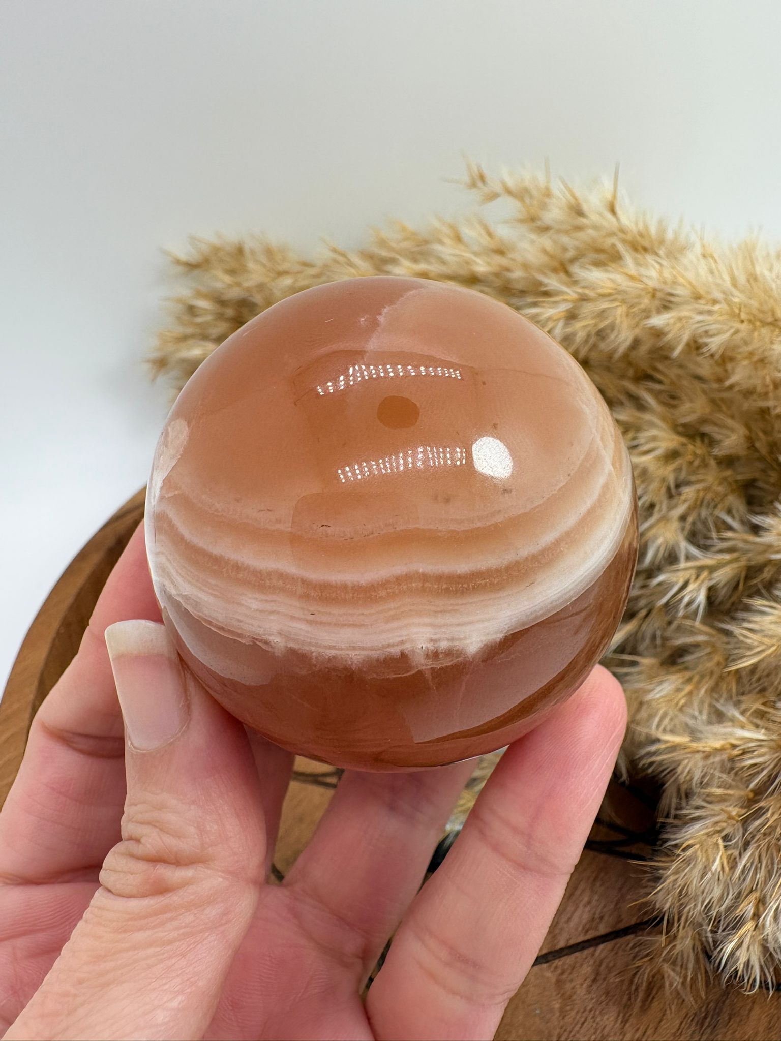 Hermosa esfera de calcita miel natural pulida, con tonos dorados y cálidos característicos de este mineral. Cada pieza presenta vetas y matices únicos formados de manera natural durante millones de años.

La calcita miel es una piedra muy apreciada en el mundo de los minerales por su energía revitalizante y su capacidad para aportar confianza, claridad mental y motivación.
