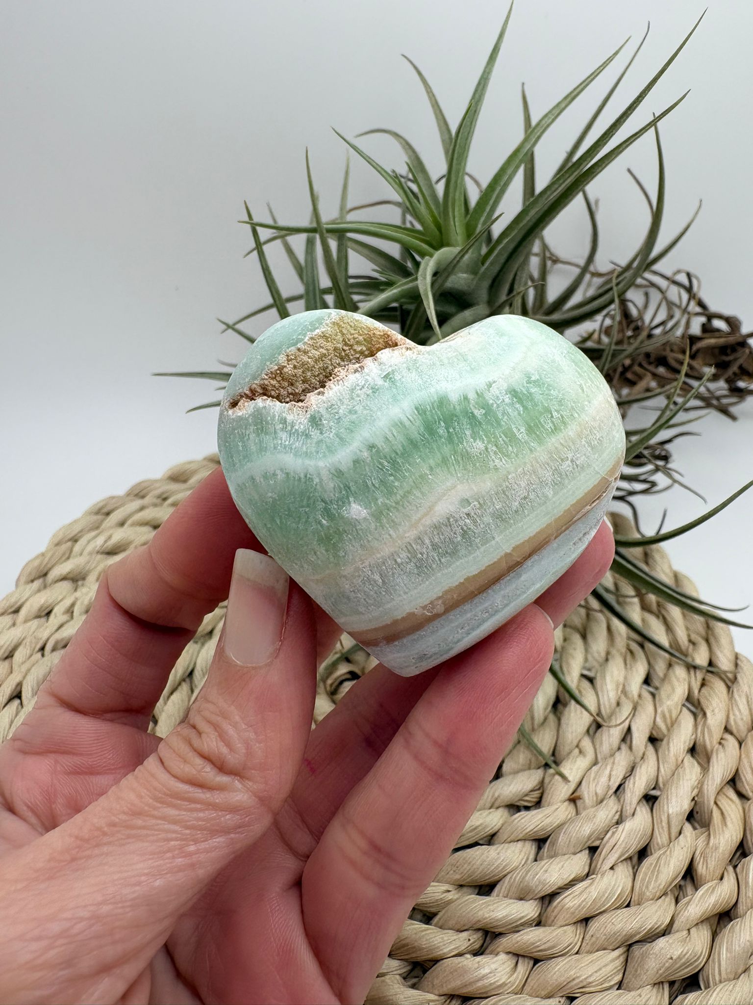 corazón de calcita pistacho destaca por sus suaves tonos verdes con vetas naturales en crema y miel, que le aportan un aspecto delicado y armonioso. Es una piedra muy apreciada por su energía calmante y equilibrante.

La calcita pistacho es ideal para acompañar procesos de sanación emocional, ayudando a liberar tensiones, suavizar emociones intensas y aportar paz interior.