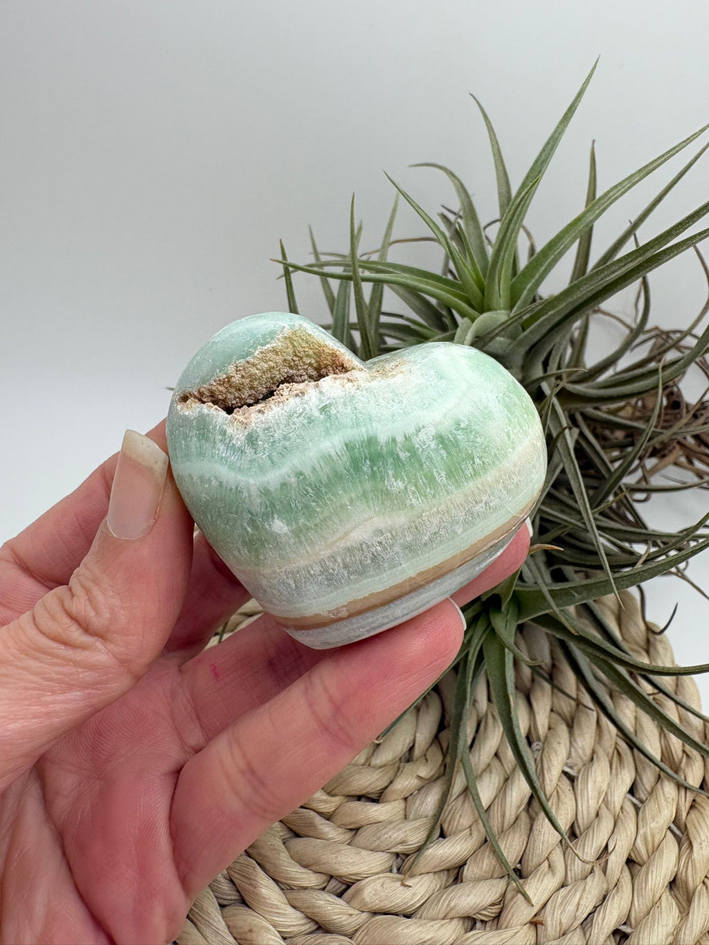 corazón de calcita pistacho destaca por sus suaves tonos verdes con vetas naturales en crema y miel, que le aportan un aspecto delicado y armonioso. Es una piedra muy apreciada por su energía calmante y equilibrante.

La calcita pistacho es ideal para acompañar procesos de sanación emocional, ayudando a liberar tensiones, suavizar emociones intensas y aportar paz interior.