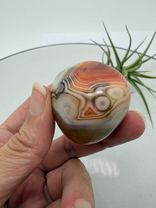 Ágata Sardónice natural de Madagascar, pulida y de pieza única. Descubre sus elegantes bandas naturales y añade un mineral exclusivo a tu colección.
