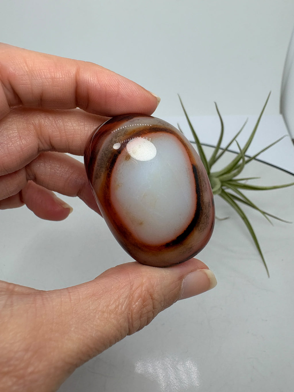 Ágata Sardónice natural de Madagascar, pulida y de pieza única. Descubre sus elegantes bandas naturales y añade un mineral exclusivo a tu colección.