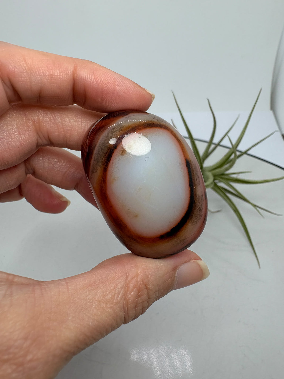 Ágata Sardónice natural de Madagascar, pulida y de pieza única. Descubre sus elegantes bandas naturales y añade un mineral exclusivo a tu colección.