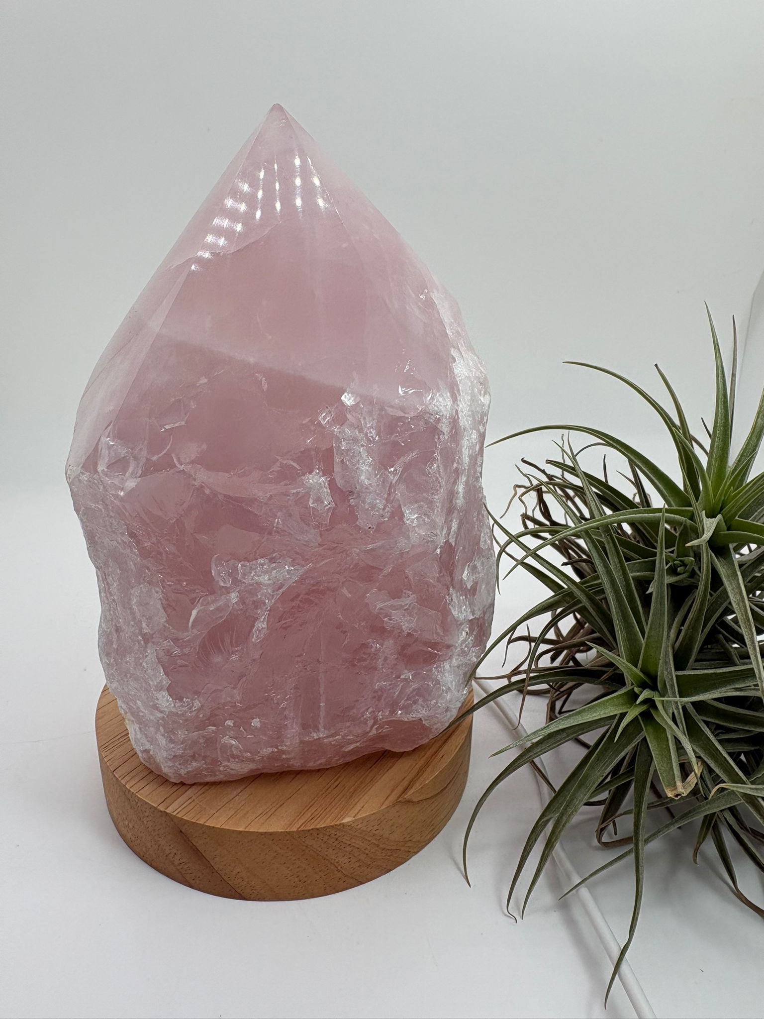 Lámpara de cuarzo rosa natural de alta calidad, una pieza única que combina la belleza del mineral con una iluminación suave y envolvente gracias a su base LED de madera con conexión USB.

Este cuarzo rosa ha sido trabajado en forma semi pulida, manteniendo parte de su estado natural en la base y con la punta pulida en forma de generador. Esta terminación permite dirigir y amplificar la energía, potenciando sus propiedades y creando un ambiente armónico en el espacio.

El cuarzo rosa es conocido como la pie