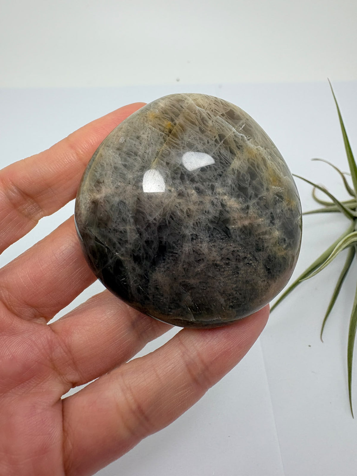 Palmstone de adularia negra de Madagascar - foto 6