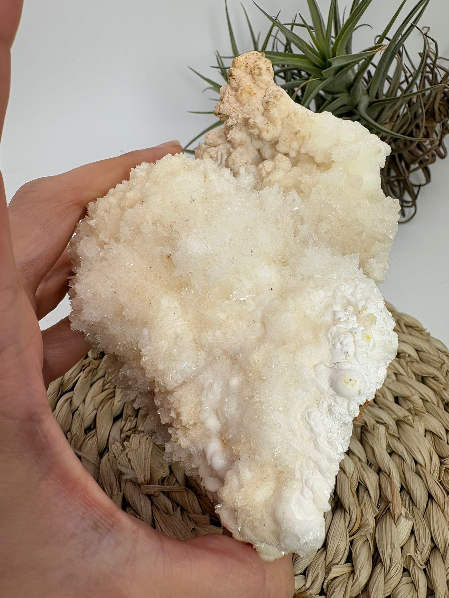 Aragonito coraloide natural para colección