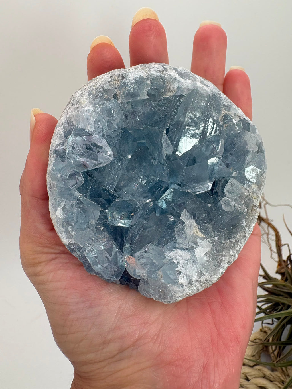 Celestina natural de Madagascar en drusa, de color azul celeste y cristales brillantes. Pieza única de 535 g para colección y decoración.