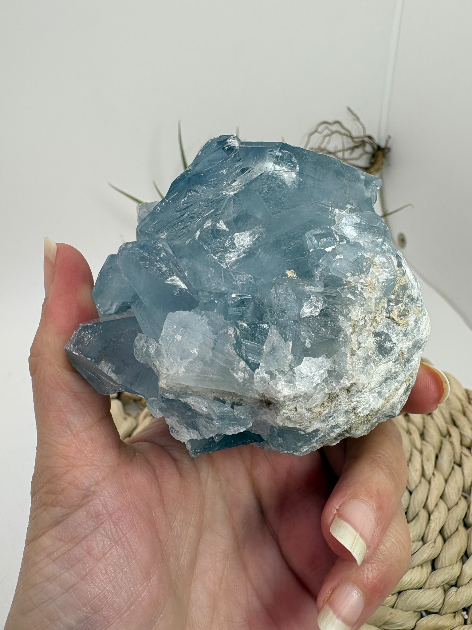 Celestina natural de Madagascar en drusa, de color azul celeste y cristales brillantes. Pieza única de 535 g para colección y decoración.